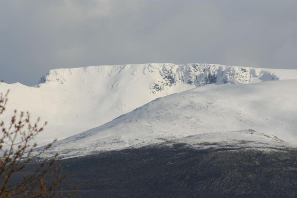 Aviemore Cottage - Cairngorms National Park מראה חיצוני תמונה